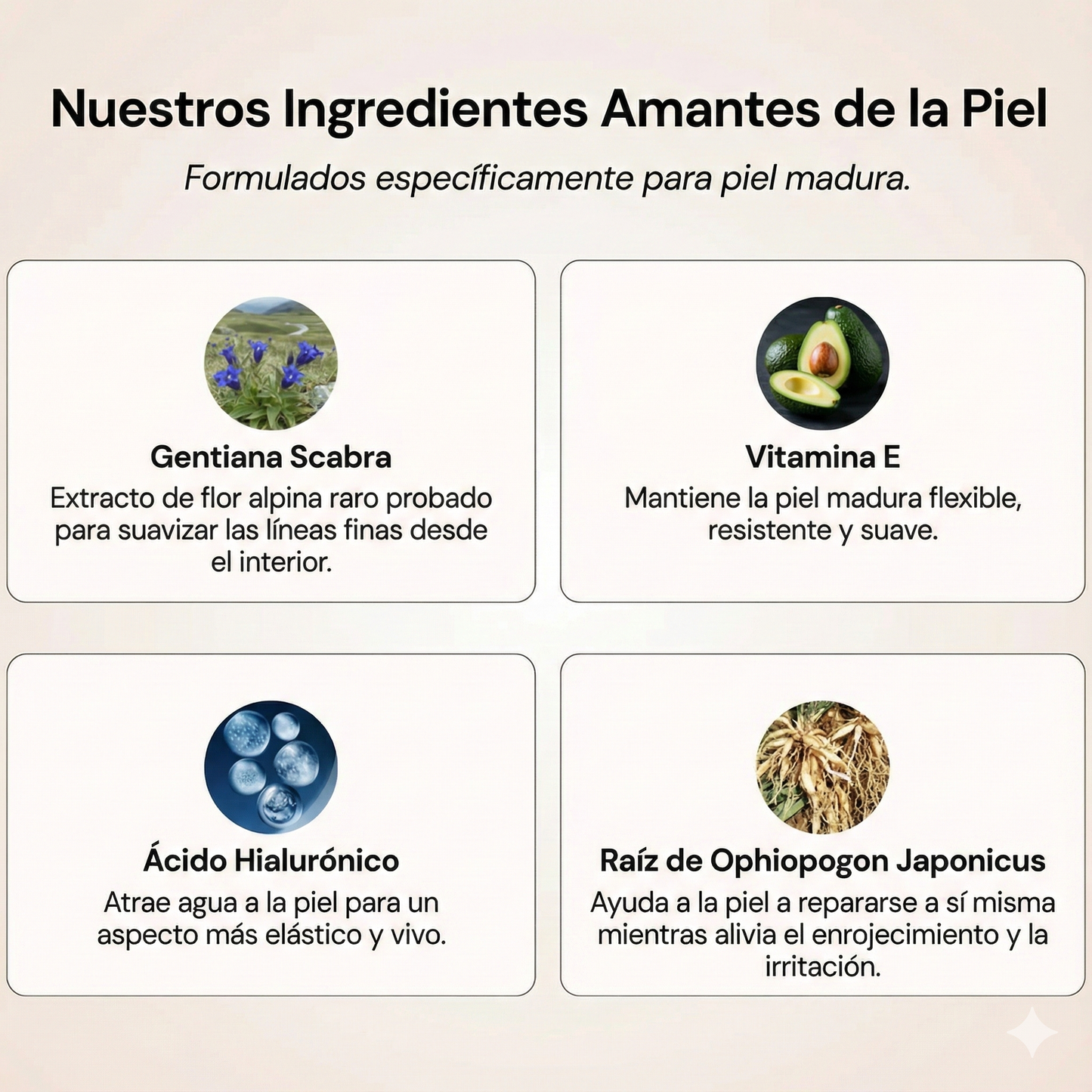 Base de Maquillaje Antiedad SPF 50 – Se Adapta a tu Tono de Piel