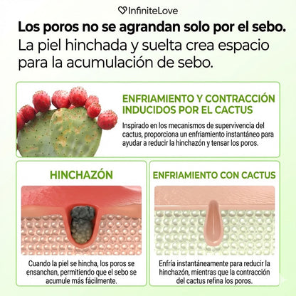 Multi-Bálsamo Coreano en Stick con Efecto Frío (Cactus Cooling) para Minimizar Poros, Desinflamar el Rostro y Reparar la Piel