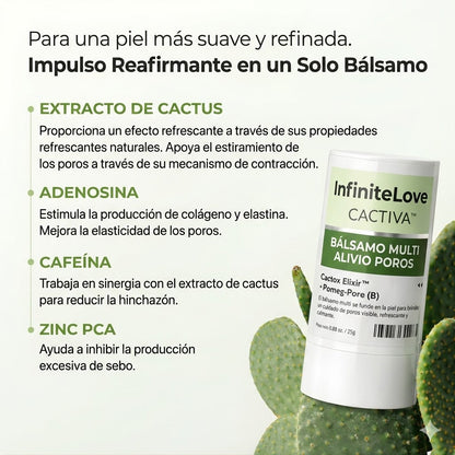 Multi-Bálsamo Coreano en Stick con Efecto Frío (Cactus Cooling) para Minimizar Poros, Desinflamar el Rostro y Reparar la Piel